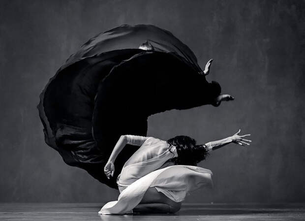 Удивительные танцовщицы фотографа Вадима Штейна балерины, балет, фотограф вадим штейн, фотографии танцовщиц