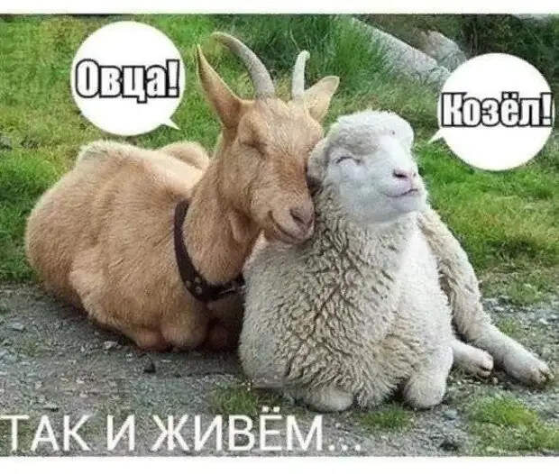 Ну что вы все докопались до этой несчастной уборщицы из "Газпрома"?...