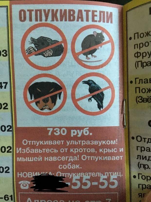 Теперь понятно, чем там в Сколково занимаются Теперь понятно, чем там в Сколково занимаются