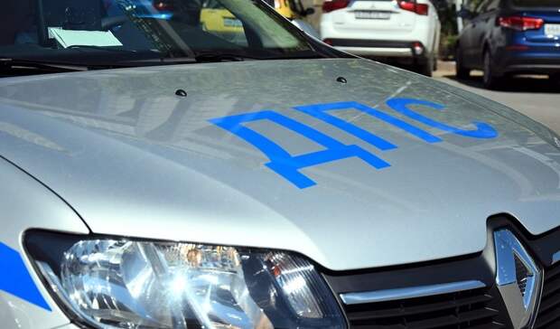 Водитель, укусивший полицейского в Удмуртии, 12 раз привлекался к ответственности