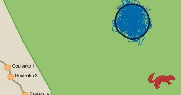 Мангабеи заразились оспой обезьян через огненноногих белок