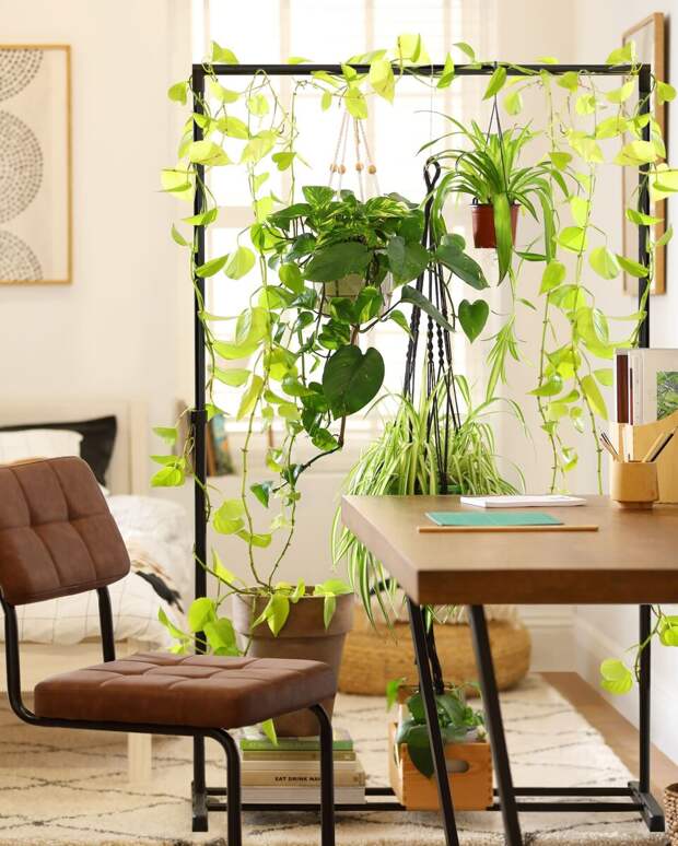 realhomes.com