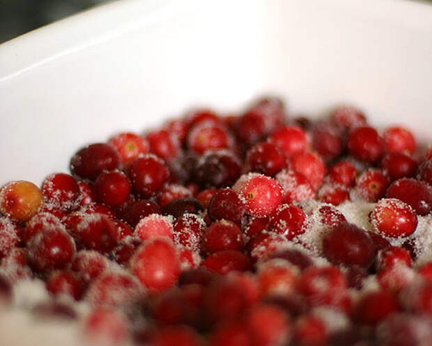 cranberry (500x401, 63Kb)