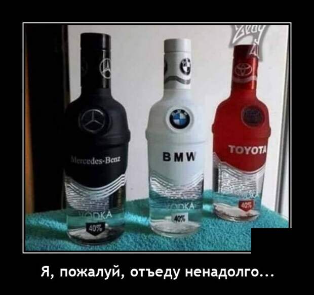 Демотиваторы 14 октября 2021 года