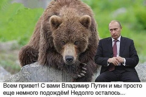 Картинка комментария