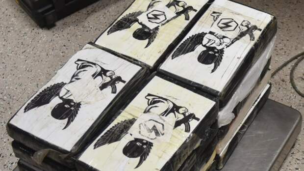 Customs and Border Protection narcotics seizure