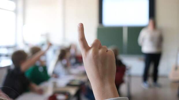 Учителя обвинили в терроризме за показ детям видео с Трампом