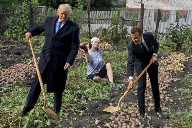 Сажающие дерево Трамп и Макрон стали героями фотожаб (41 фото)