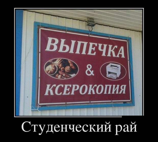 Демотиваторы (30 фото)