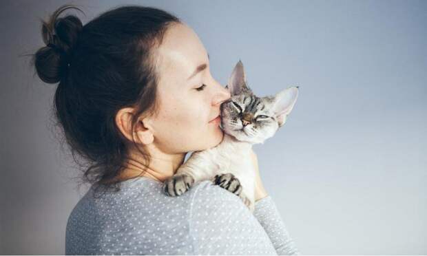 Наташа, мы все уронили: как понять, что говорит ваша кошка