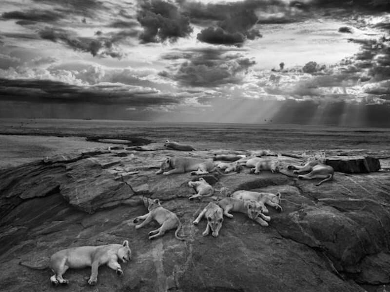 10 фотографий природы, которые нужно увидеть, чтобы поверить