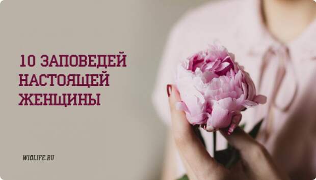 10zapov