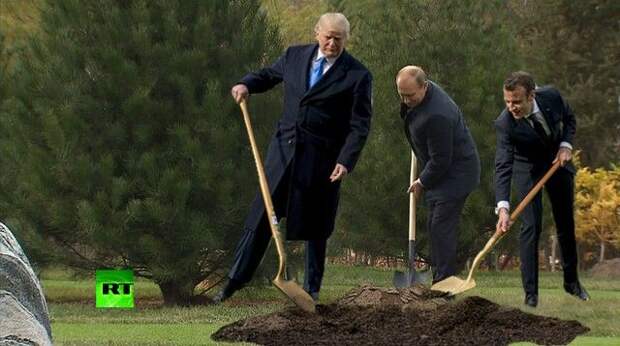 Сажающие дерево Трамп и Макрон стали героями фотожаб (41 фото)