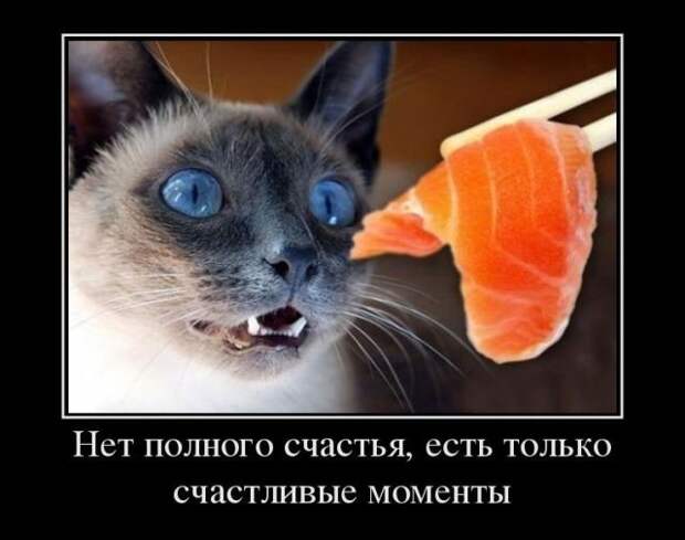 Демотиваторы (30 фото)