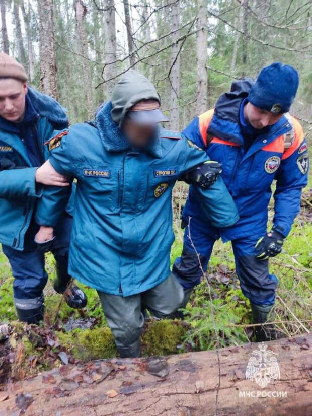 В Новгородской области сотрудники МЧС спасли 86-летнего ягодника