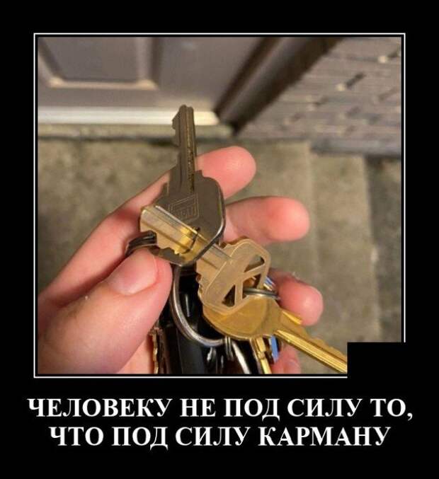 Демотиватор про карман