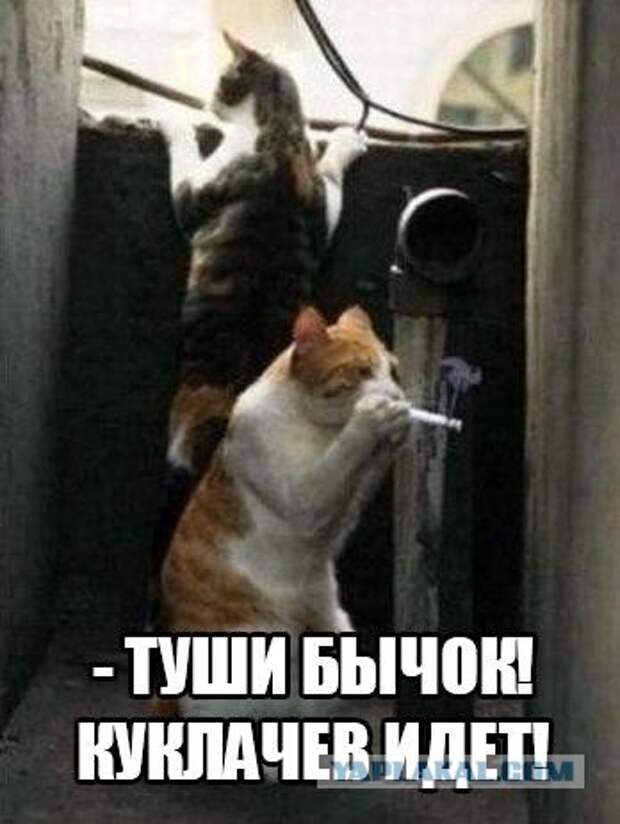 Просто 30 картинок из тырнета