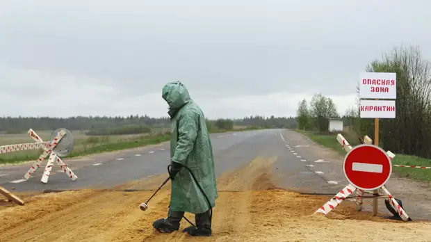 В Роспотребнадзоре оценили угрозу распространения бубонной чумы