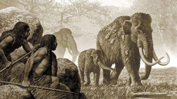 Изображение взято с сайта: https://www.t13.cl/noticia/tendencias/bbc/la-feroz-competencia-que-fue-clave-en-la-desaparicion-de-los-neandertales-de-la-faz-de-la-tierra
