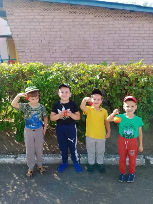 Вот такой урожай вырастили дети группы № 9.