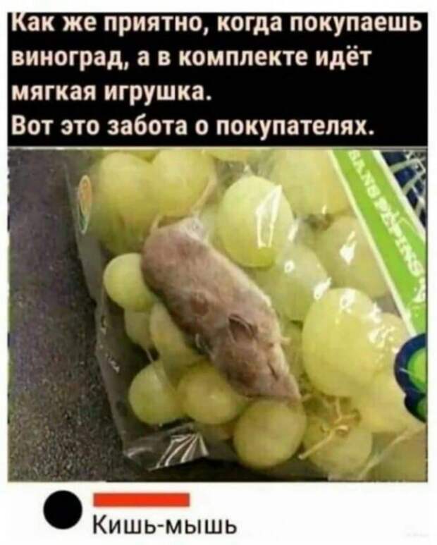 Всяческие картинки