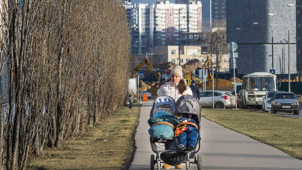 Не похвалил борщ - психологическое насилие?: Вице-спикер Госдумы Толстой - о важных нюансах нового закона