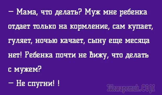 Анекдоты для отдыха