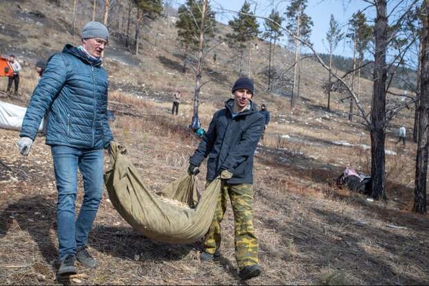 Фонд «Подари планете жизнь» объявил сбор средств на расчистку горельника в Большом Голоустном