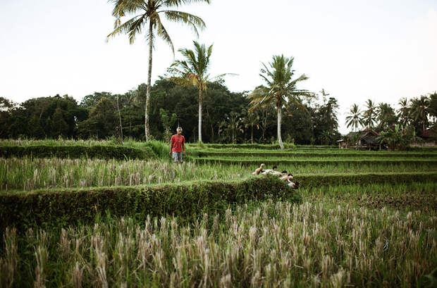 Фотопроект о буднях острова Бали 