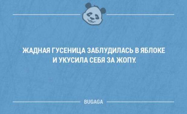 Классная подборка прикольных анекдотов