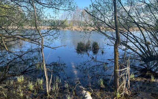 В Рязанской области 13 марта потеплеет до +11°С