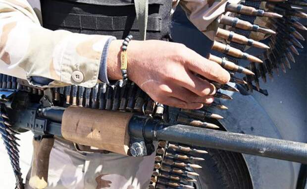 «Серые волки» Эрдогана выбирают базу у границы с Крымом