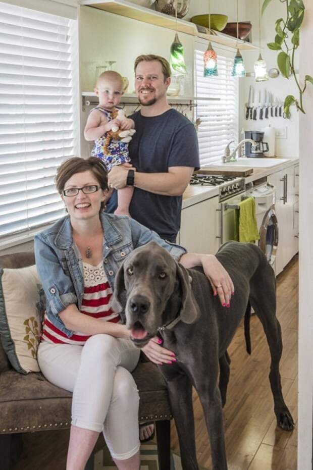 Мейси со своей семьей и верным псом.