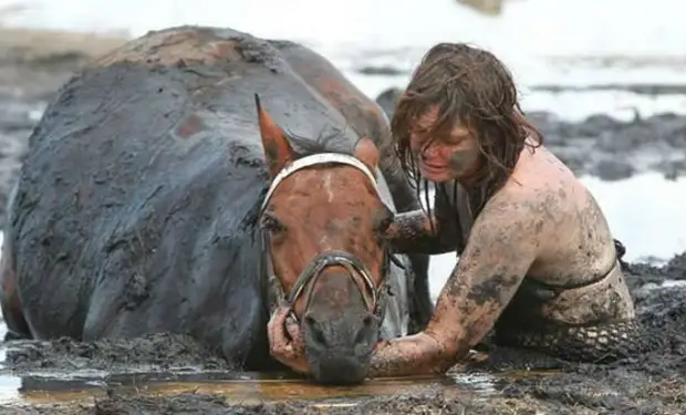 Конь завяз в топи и начал уходить на дно болота. Люди уже опустили руки, но на помощь пришел фермер с трактором