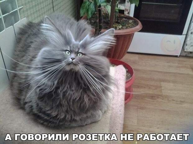 УЛЫБНИСЬ-КА :)