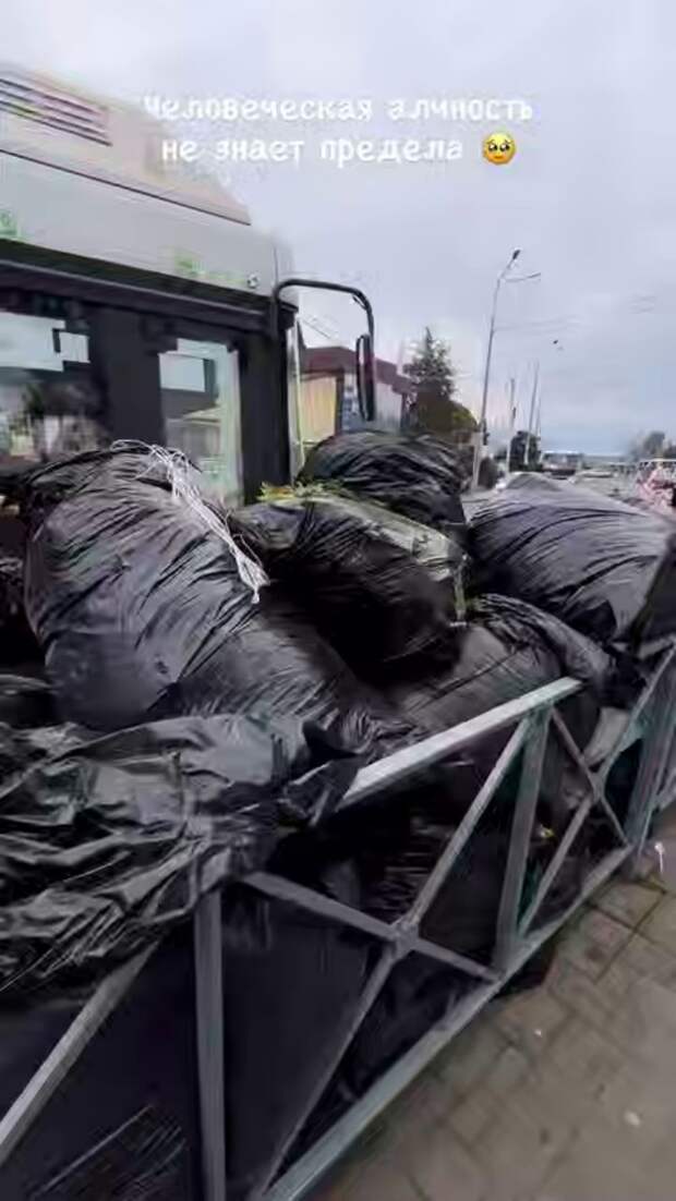 На границе с Абхазией необычная свалка: сердце разрывается от увиденного