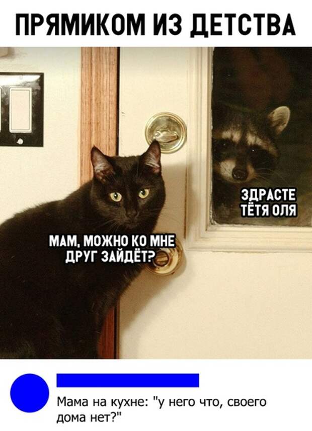Зачетные и ржачные надписи к картинкам и фото приколам для улыбки
