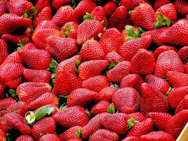 10 продуктов, в которых больше всего йода. Изображение номер 2