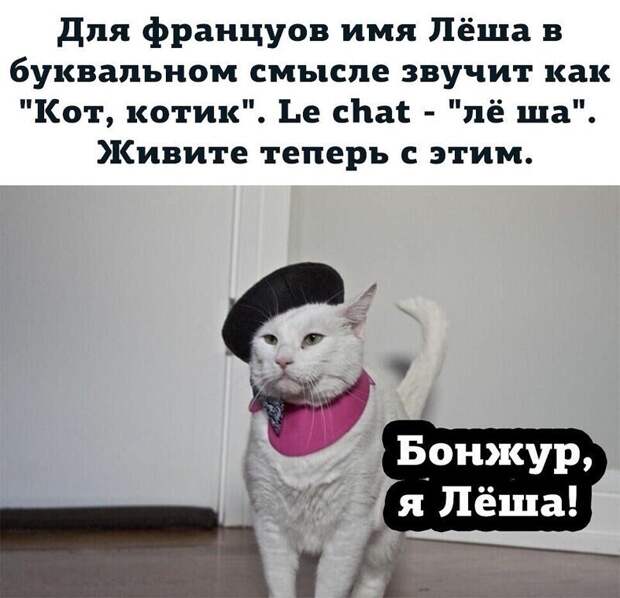 Заметки и комментарии, которые вас точно повеселят Заметки и комментарии, которые вас точно повеселят