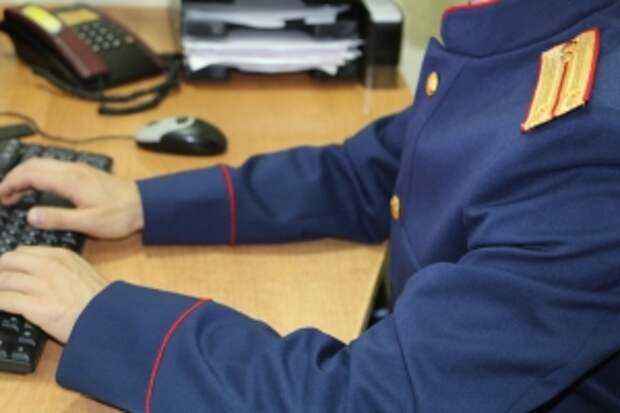 Житель города Иваново подозревается в использовании и распространении вредоносных компьютерных программ