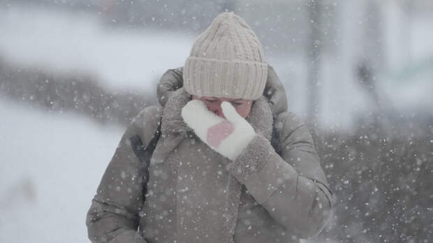 Снег или морозы? Какая погода будет в европейской части России в феврале