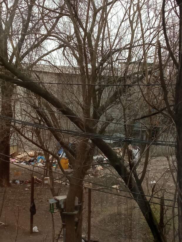 Жители Гвардейки жалуются на склад мусора за «Скорпионом