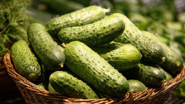 Раскрыта неожиданная польза огурцов
