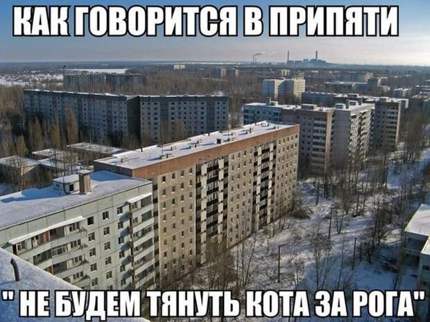Прикольные картинки Прикольные картинки