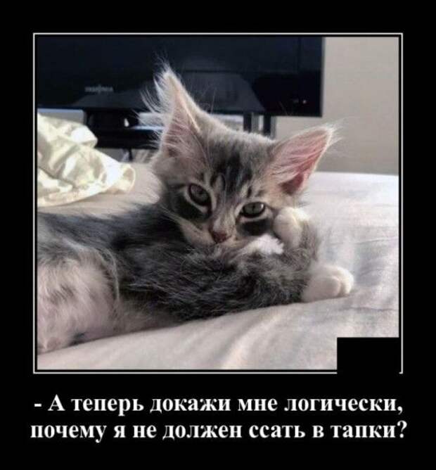 1574547409_1574431002_demotivatory_17.jpg