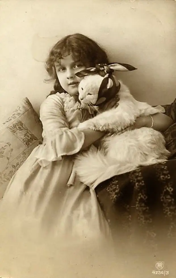 :   ,  ,        11 - BigPicture.ru