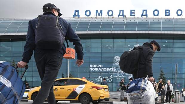 «Ведомости»: аэропорт Домодедово может возглавить Андрей Никулин