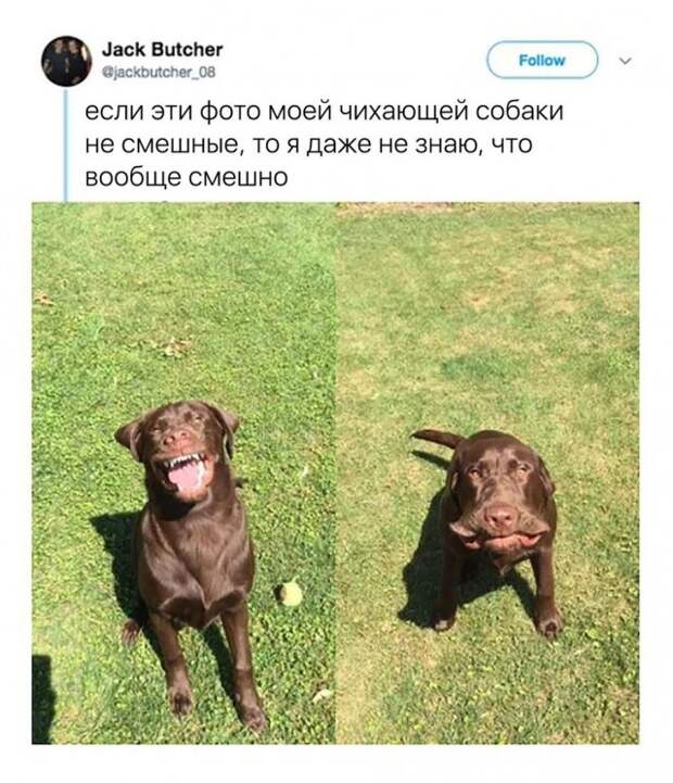 www.vsyako.net