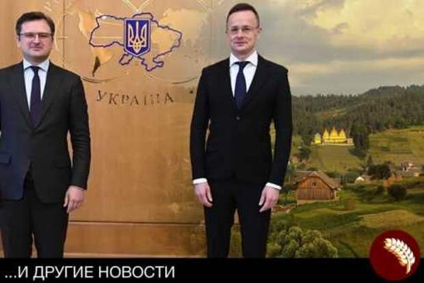 Будапешт не забыл про языковую проблему венгров Закарпатья Будапешт не забыл про языковую проблему венгров Закарпатья