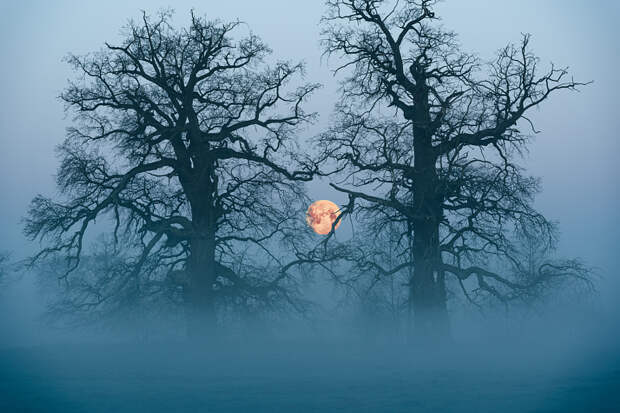 Foggy Moon by Tomek Lacky on 500px.com